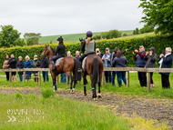 CH290522-28 - Charlie Hills Stable Visit